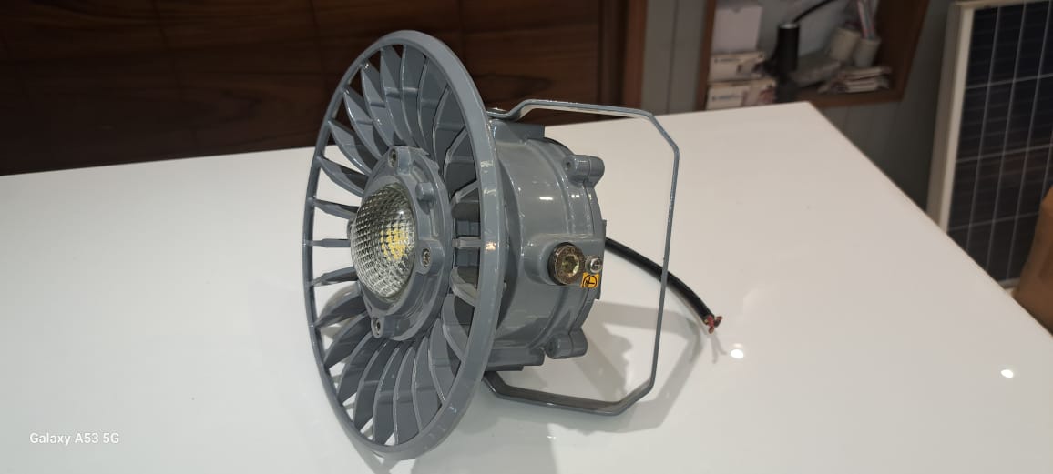 SEPS Flameproof Light